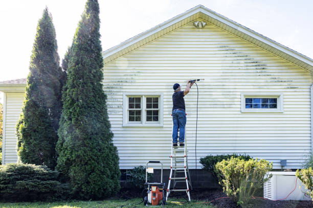 Best Pressure Washing Siding  in Glendale, MS